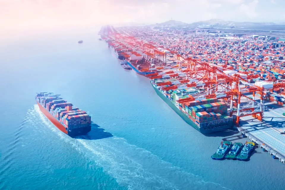 cover TCS insurance link