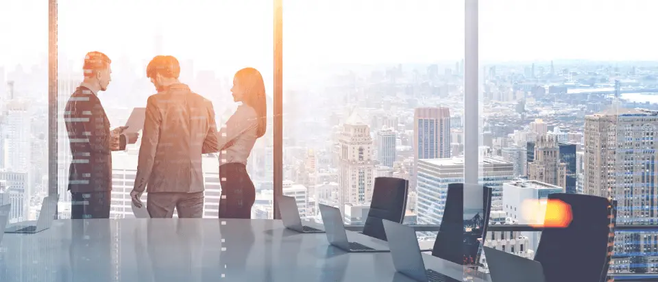 home banner consult 219